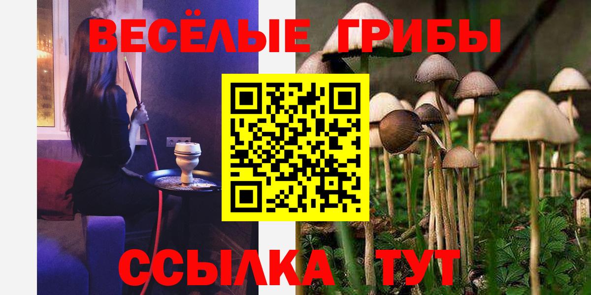 Псилоцибиновые грибы MAGIC MUSHROOMS Тимашёвск